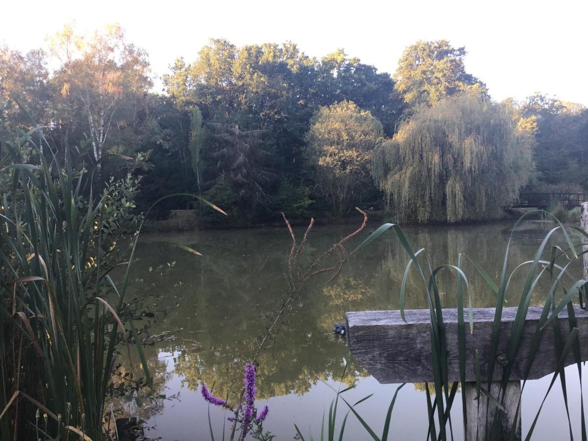 Ferme Boisquillon Bed & Breakfast Marcilly-en-Gault Luaran gambar